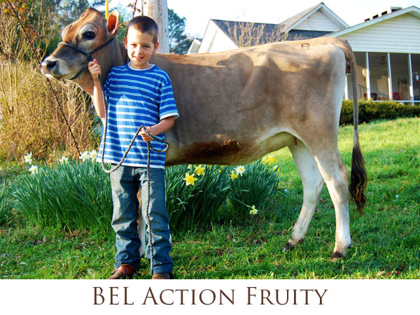 BEL Action Fruity